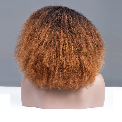 Coily Kinky Curly Ombre Ginger Brown Colored Glueless Lace Wig Full And Bouncy-029
