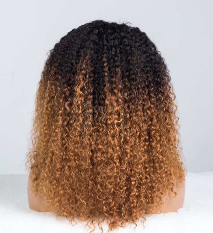 Golden Legend Ombre Colored Glueless Curly Lace Wig-022