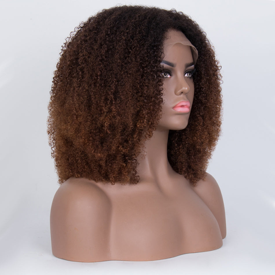 Coily Curly Ombre Brown Colored Glueless Lace Wig ,Embrace My Coily Life-019