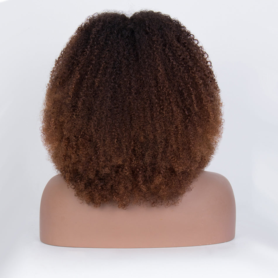 Coily Curly Ombre Brown Colored Glueless Lace Wig ,Embrace My Coily Life-019
