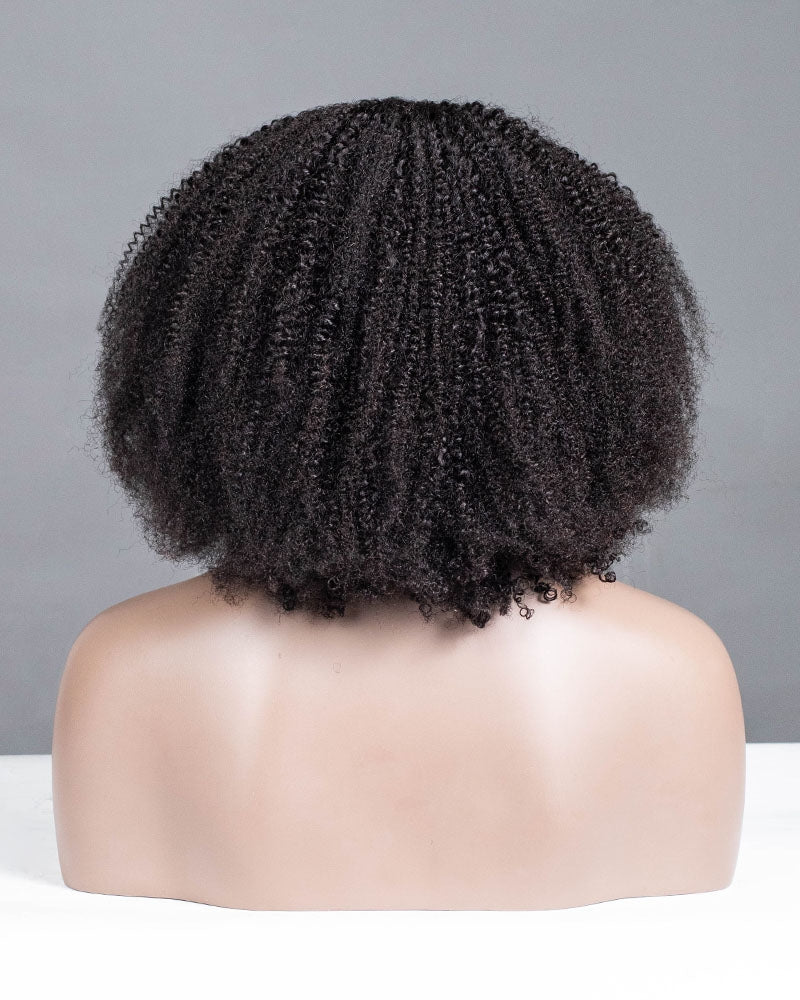 Afro Kinky Curly Seamless V-Part Wig-066